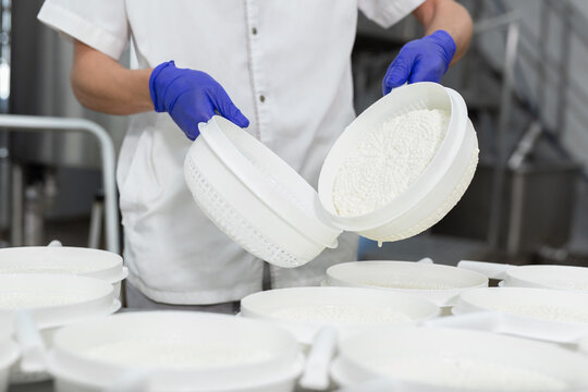 A worker in medical gloves shows the process of producing cottage cheese at a dairy factory.