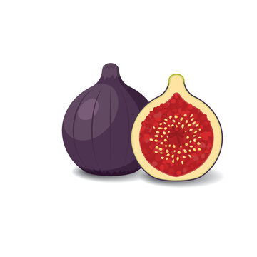 Figue cartoon fruit. Vegan organic eco product. vector illustration
