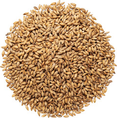 Pale ale malt