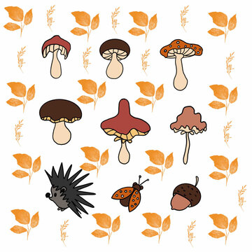 seamless pattern with autumn leaves mushrooms,champignon,porcini mushroom,chanterelle,different types of mushrooms,forest mushrooms,hedgehog,acorns,leaves,spikelets,botany,plants,fruits