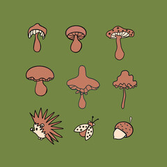 mushrooms on a tree mushrooms,champignon,porcini mushroom,chanterelle,different types of mushrooms,forest mushrooms,hedgehog,acorns,leaves,spikelets,botany,plants,fruits