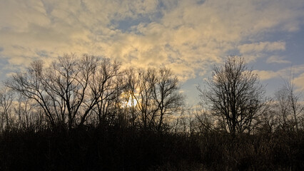 Obraz na płótnie Canvas Bare tree silhouettes against a colourfull winter evening sky