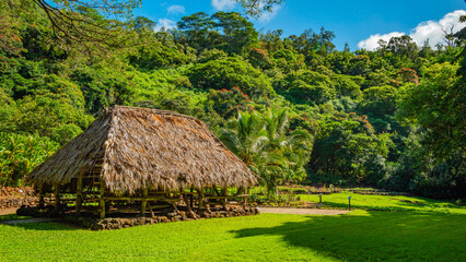 Fairy forest with wooden house. Beautiful tropical park. Amazing green forest. McBryde garden Kauai, Hawaii 
