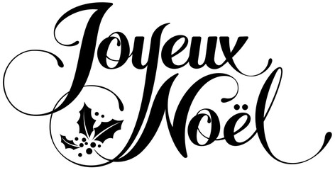 Joyeux Noel = Merry Christmas in French