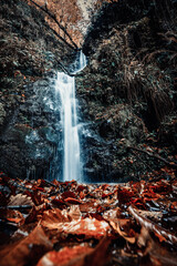 Picturesque waterfall in rainy weather. Autumn landscape. Beautiful cascade of waterfalls in the autumn forest. Autumn symbol. Waterfall among the rocks in autumn.