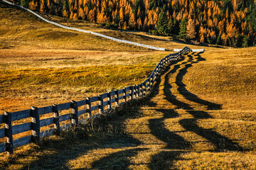 Autumn colored pastures on Prato Piazza - Plätzwiese, South Tyrol, Italy