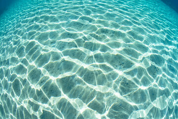 Bright sunlight dances across a shallow, sandy seafloor.