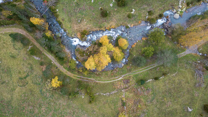 Aerial view over small river in pyrenees whit yellow and green trees 