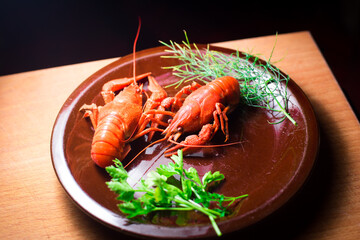crayfish on a dark background