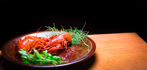 crayfish on a dark background