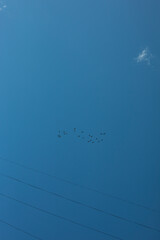 Clouds in sky. Sky in summer. Weather upstairs. Summer day.