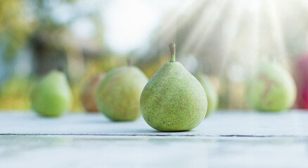 Image of pears on the background of a summer garden