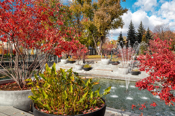 Fountains in Shevchenko City Garden with red autumn trees and lotus pond. Tourist attraction in central city park, Kharkiv Ukraine