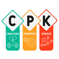 CPK Creatine Phosphokinase  acronym. business concept background.  vector illustration concept with keywords and icons. lettering illustration with icons for web banner, flyer, landing 