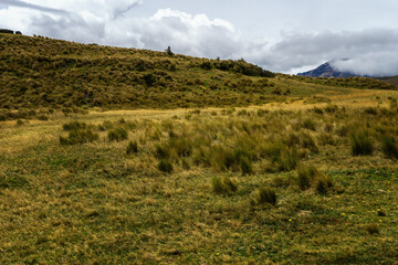 Fototapeta premium Landscape view Cotopaxi National Park, Ecuador