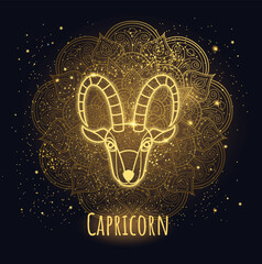 Colorful zodiac sign capricornvector lineart. - 543696133