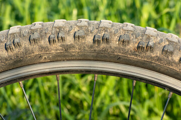 Close up of a bicycle wheel with tire and spokes