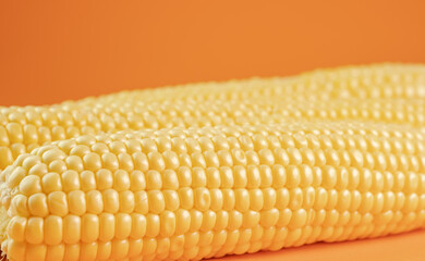 Corn cob on orange background