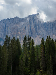 A Forest in Italian Dolomites