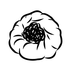 Indian, Asian food delicious samsa. Vector hand drawn illustration.sketch