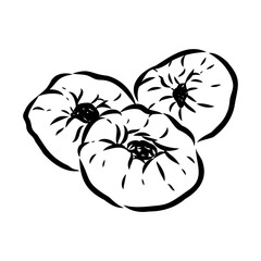 Indian, Asian food delicious samsa. Vector hand drawn illustration.sketch