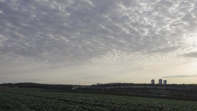 Time lapse shot of fields and trees at a sunny morning with many small clouds (Cirrocumulus) and three high rise apartment buildings in the background