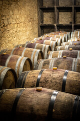 wine barrels in cellar