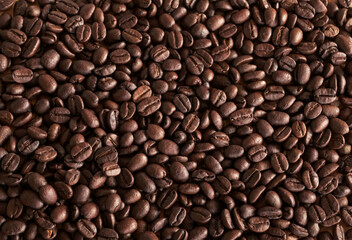 coffee beans on wood table. coffee seed