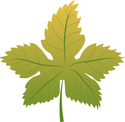 autumn maple leaf vector png