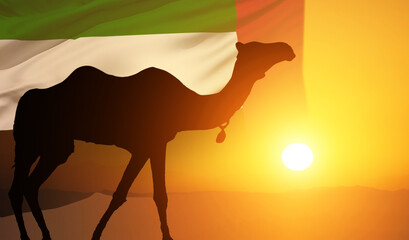 Fototapeta na wymiar UAE Flag. National holidays concept.