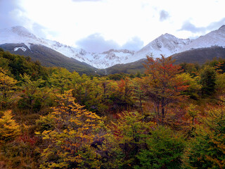 Snowy peaks and vegetation with ocher colors. Magnificent landscape of Tierra del Fuego National...