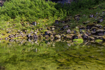 the famous horseshoe canyon in Ásbyrgi, Iceland