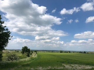 field and blue sky