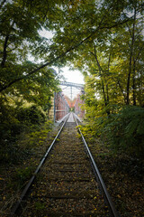 abandoned railway with trees and a bridge