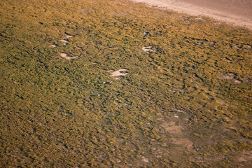 Namibia, Afrika, Wüste, Luftaufnahme