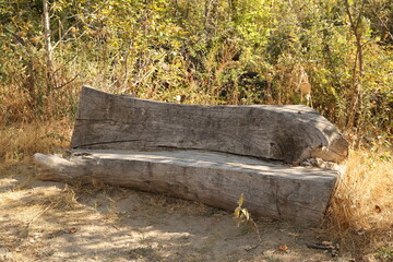 Wood bench cut from tree stump