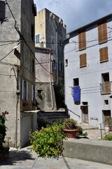 Fototapeta na wymiar The historical city of Erbalunga at Cap Corse, Corsica, France