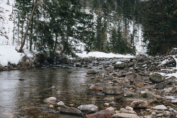Natural stream in Koscieliska Valley in Tatra Mountain