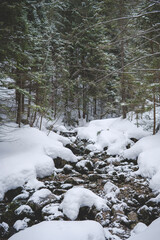 Strazyski stream in Tatra National Park in Poland during winter season