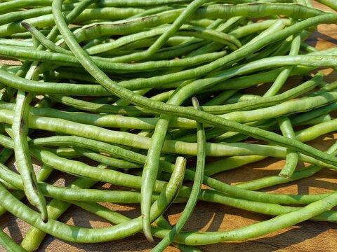 Yardlong beans vegetable is also known as barbati