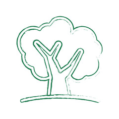 tree
fruit tree
nature
ecology and environment
botanical
yard
gardening
ecology
garden tree
garden
yard
oak
fruit tree
ecology and environment
botanical
gardening
ecology
nature