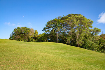 Golf course
