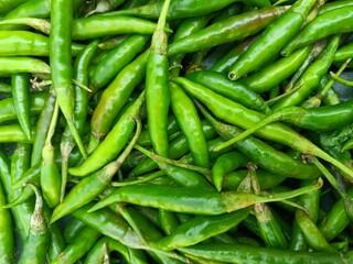 green beans on the market