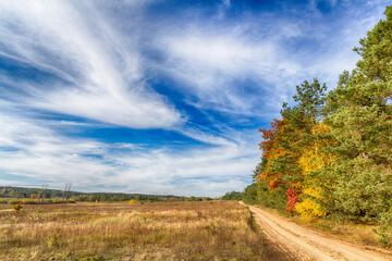 Fototapeta na wymiar Landscape autumn road with colourful trees, autumn Poland, Europe and amazing blue sky with clouds, sunny day