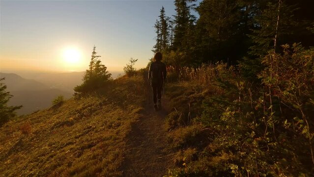 Adventurous Woman Hiking in Canadian Landscape with Fall Colors during sunny Sunset. Elk Mountain, Chilliwack, East of Vancouver, British Columbia, Canada. Adventure Travel Concept. Slow Motion