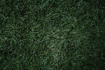 Background of Christmas tree needles