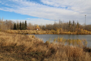 Fototapeta na wymiar forest lake in autumn, Pylypow Wetlands, Edmonton, Alberta