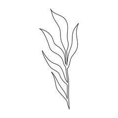 Line Art Flower and Plants. Aesthetic Hand Drawn Design Elements