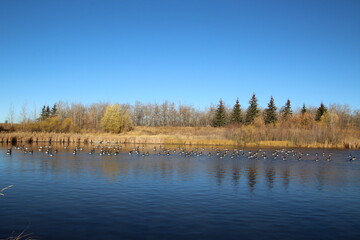 Fototapeta na wymiar lake in autumn