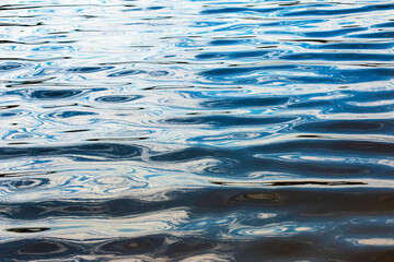 Water ripple texture background. Wavy water surface during sunset, golden light reflecting in the...